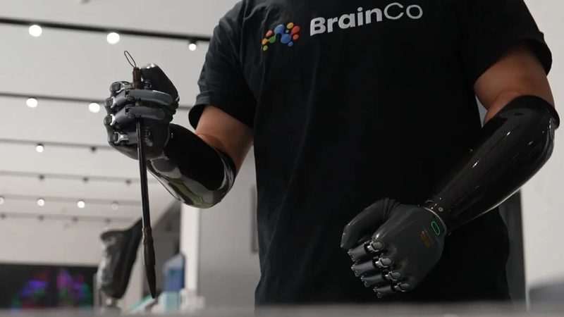 云服务器与物理机：价格背后的性能与成本考量